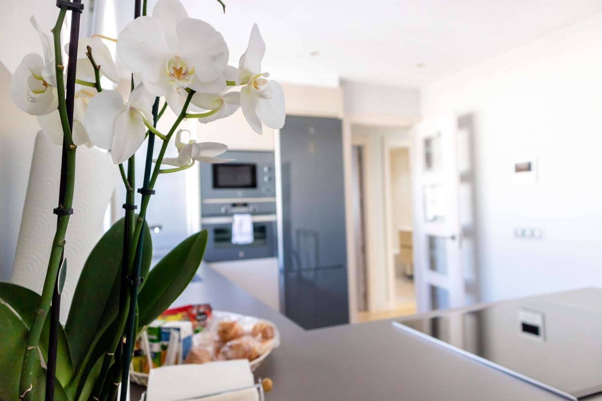 Burgo Nuevo Atico De Lujo En Pleno Centro Con Terraza Y Vistas - Leonapartamentos 外观 照片